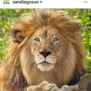 Meet your Posher, Norma